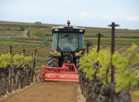 DOMAINE LA CROIX DES VIGNALS - SCEA SENQUERY JEAN ET FILS 