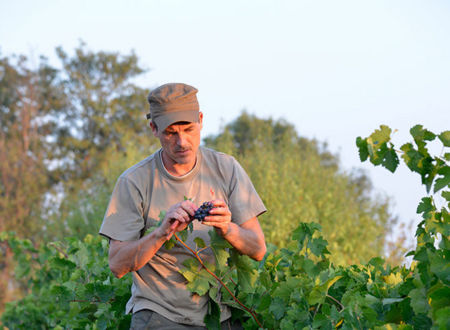 DOMAINE YANN LE BOULER 