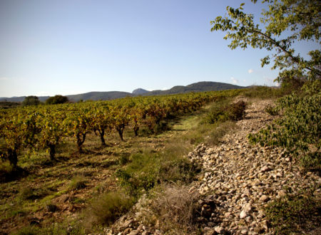 DOMAINE JULIEN PEYRAS 