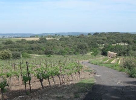 DOMAINE DU CLOT DE MALIBRAN 