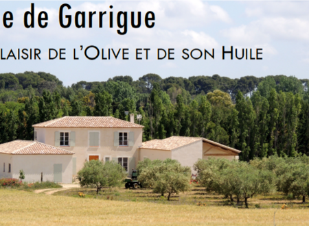 FINE DE GARRIGUE - FAMILLE PURSEIGLE - DOMAINE DE GALINENQUE 