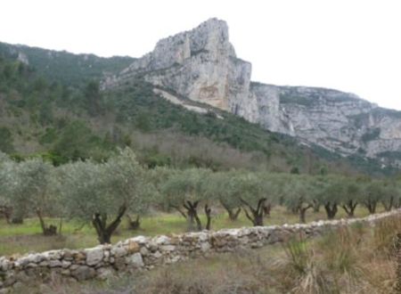 LES TERRASSES DE GELLONE 