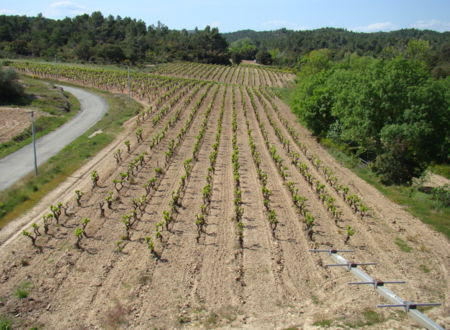 DOMAINE ANNE ALLIÉ 