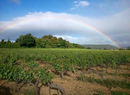 DOMAINE DE L'ABREUVOIR 