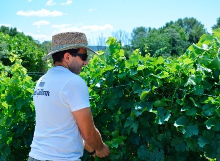 DOMAINE CLOS GUILHEM 