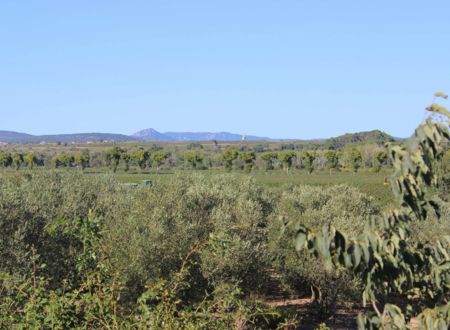 LES JARDINS D'ALIGNAN DU VENT 