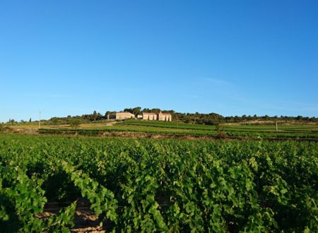 DOMAINE LA GRANGE HAUTE 