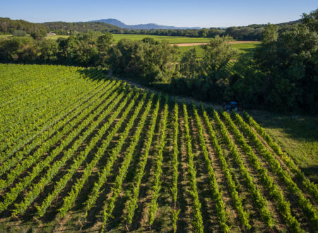 DOMAINE DE SAINT-CLEMENT 