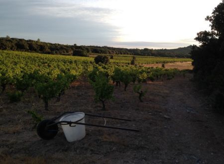 DOMAINE PIERRE ET L'ETOILE 