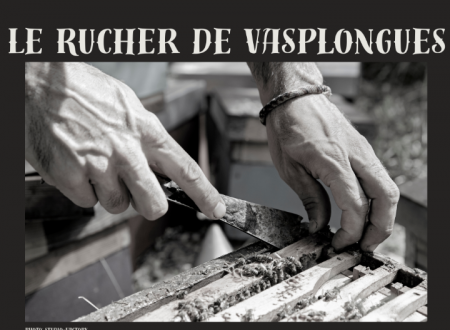 LE RUCHER DE VASPONGLES 