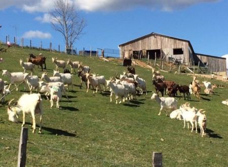 FERME DU BERGOGNON 