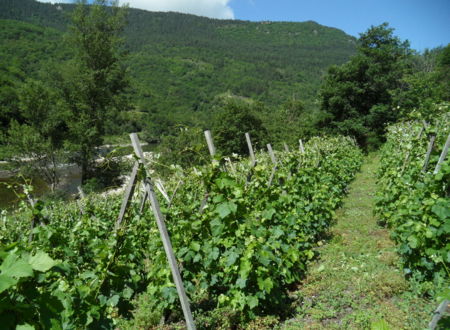 DOMAINE DE GABALIE 