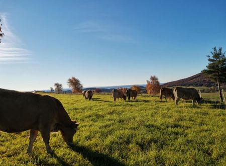 GAEC BESSIERE DE LA ROUVIÈRE 