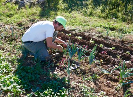 LES JARDINS DE GRIZAC 