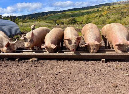 LA FERME DE COCAGNE 