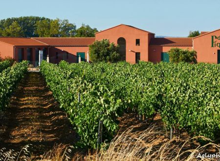 DOMAINE PIQUEMAL 