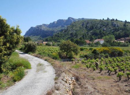 DOMAINE DE L'EDRE 