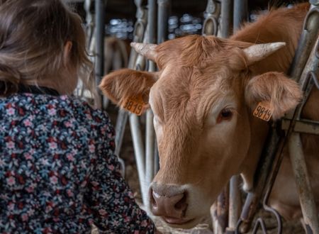 LA FERME DE LA TOUNINE 