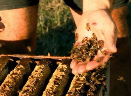 MIELLERIE SARNIGUET FRERES 