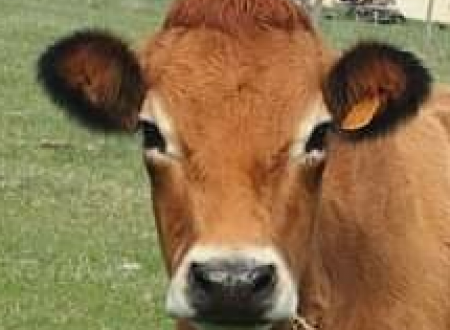 SOST DUBARRY VALERIE 