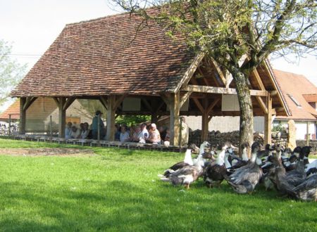 La Ferme des Campagnes 