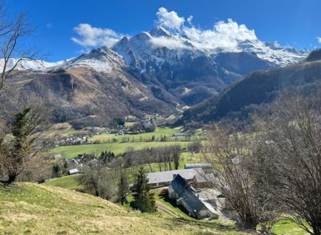 FERME CAZAUX - OUMPRE MARTINOU 