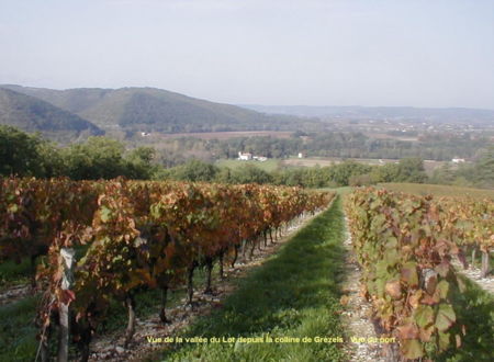 Domaine Dhoste Chevalier 