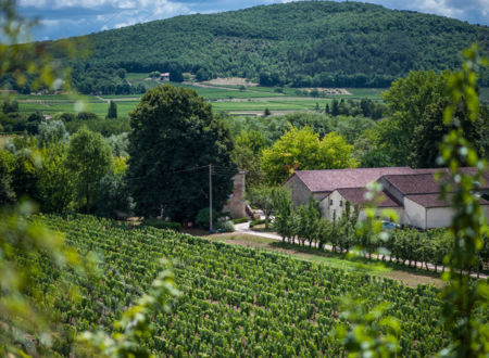 Château Fantou 