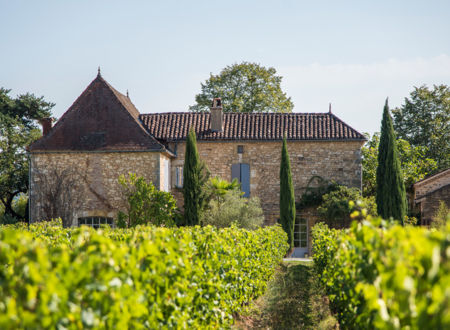 Château Cantelauze - Mezy 