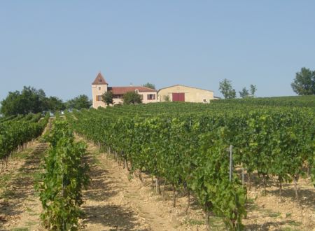 Clos de Pougette 