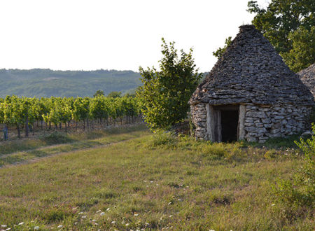 Domaine Campoy 