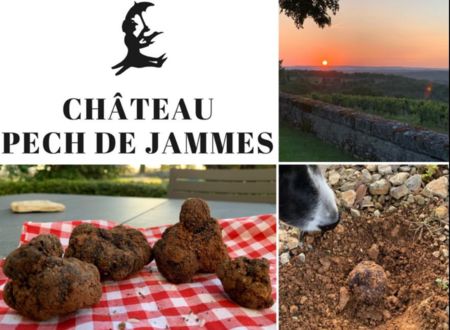 Château Pech de Jammes : Vin et Cavage 