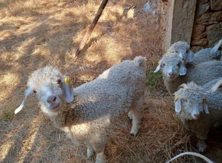 La Ferme des Tabliers 