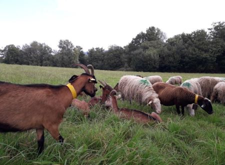 FERME DES HOURCADES 