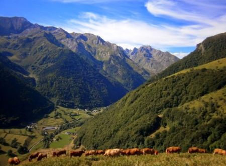 LA FERME DU LAC D'ESTAING 