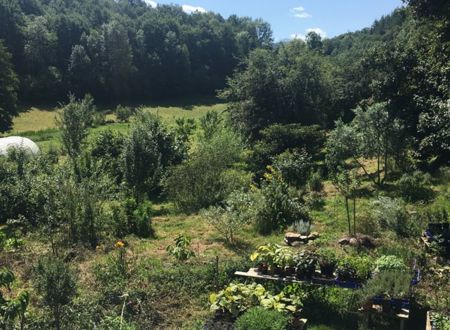 LES JARDINS DES CONFLUENCES 