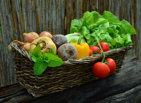 LA FERME BIO DU MOURASSAN 