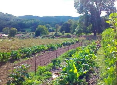 LES JARDINS D'ESCOUMANIES 