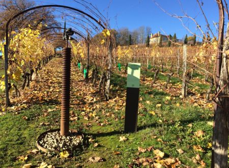 Parcours d’orientation des Jardins d’Aure 