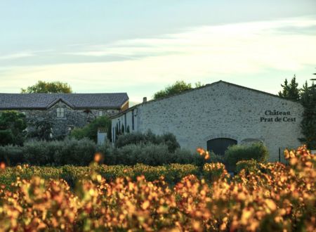 FWE 2024 - VISITE ET DÉGUSTATION AU CHÂTEAU PRAT DE CEST 