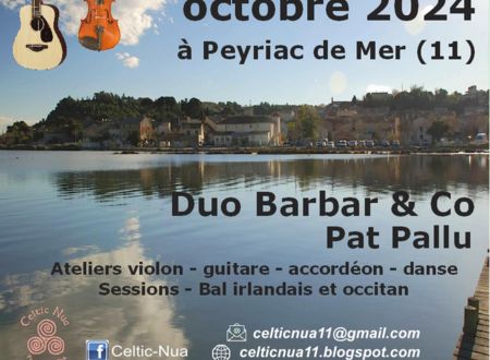 CELTIC STRINGS - DUO BARBAR & CO ET PAT PALLU 