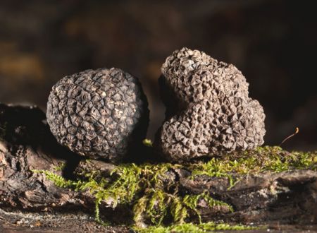 MARCHÉ AUX TRUFFES 