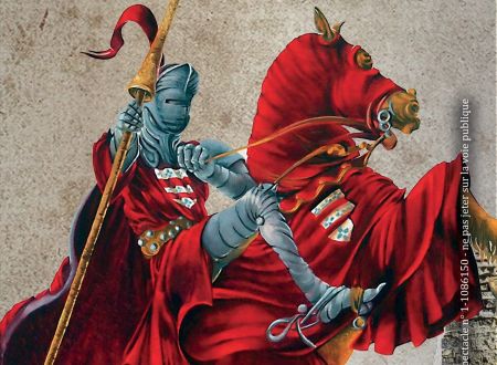 TOURNOIS DE CHEVALERIE ET SPECTACLE DE FAUCONNERIE 