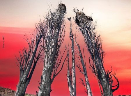 INCENDIES DE L'AUDE EN 2025 TRAGÉDIE ET ESPOIR 