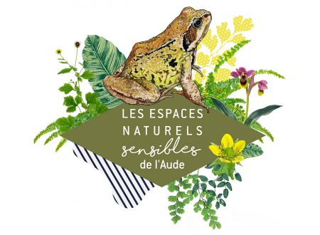 ENS - NATURALISTES D’UN SOIR : À LA RECHERCHE D’AMPHIBIENS 
