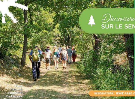 DÉCOUVERTE DE LA FÔRET SUR LE SENTIER DU CAMPÉRIÉ 