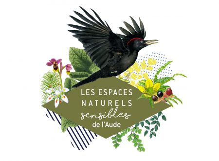 ENS - DÉCOUVERTE DES OISEAUX DES CORBIÈRES 