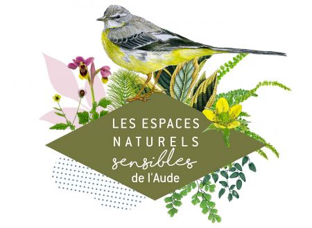 ENS - QUI SIFFLOTE AU BORD DU FLEUVE ? 