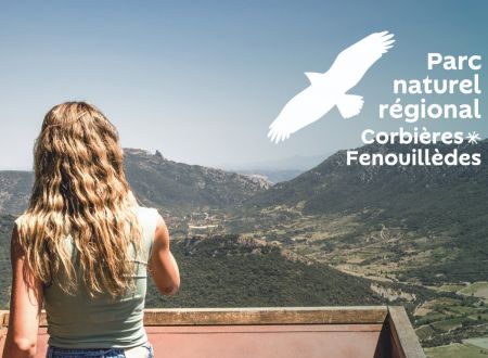 DU PIN ET DES FEUX, LA VÉGÉTATION S'ADAPTE... ET LES HUMAINS ? 