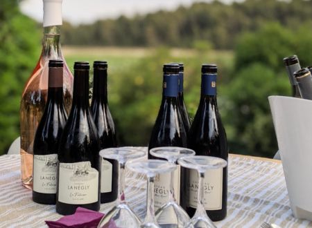 L’ASCENSION VIGNERONNE - CHÂTEAU LA NÉGLY 
